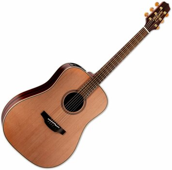 electro-acoustic guitar Takamine FN15 AR Natural - 1