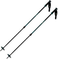 Ski-stokken Rossignol Escaper Telescopic Safety Black/Blue 110 - 135 cm Ski-stokken