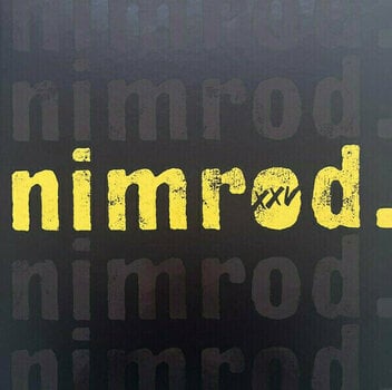 Schallplatte Green Day -Nimrod. XXV (Silver Coloured) (Limited Edition) (5 LP) - 1