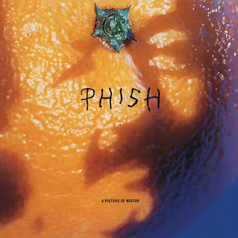 LP Phish - A Picture of Nectar (Grape Apple Pie Coloured) (2LP)