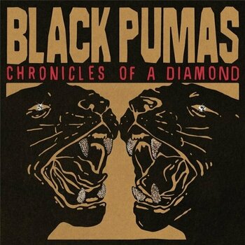 Disc de vinil Black Pumas - Chronicles Of A Diamond (Clear Coloured) (LP) - 1
