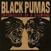 LP Black Pumas - Chronicles Of A Diamond (Clear Coloured) (LP)