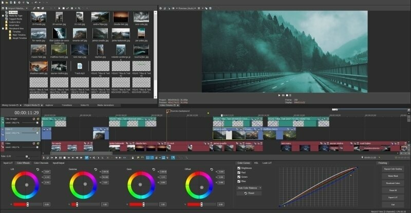 Video and Graphics Software MAGIX VEGAS Pro Suite 21 (Digital product)