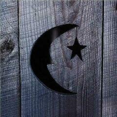 Грамофонна плоча Phish - Farmhouse: Stars so Bright (Random Coloured) (2 LP)