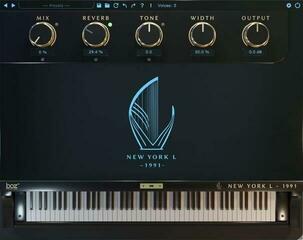 VST Instrument Studio Software BOZ DIGITAL Boz Digital New York L 1991 (Digital product)