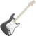 Elektrische gitaar Fender Eric Clapton Stratocaster MN Pewter
