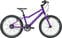 Bicicletta per bambini Academy Grade 4 Belt Purple 20" Bicicletta per bambini