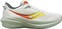 Road running shoes Saucony Triumph 21 Mens Shoes Fog/Bough 40,5 Road running shoes