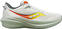 Pantofi de alergare pe șosea Saucony Triumph 21 Mens Shoes Fog/Bough 43 Pantofi de alergare pe șosea