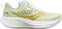 Road running shoes
 Saucony Ride 17 Womens Shoes Fern/Cloud 37 Road running shoes