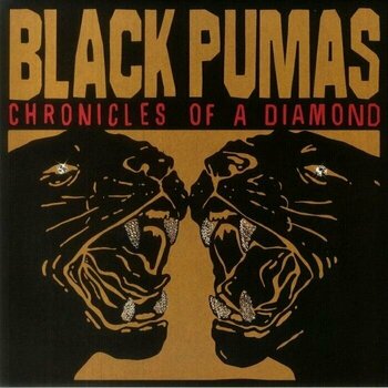 Disco de vinilo Black Pumas - Chronicles Of A Diamond (US Version) (Clear Coloured) (LP) Disco de vinilo - 1