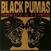 Δίσκος LP Black Pumas - Chronicles Of A Diamond (US Version) (Clear Coloured) (LP)