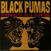 LP platňa Black Pumas - Chronicles Of A Diamond (Limited Edition) (Red Transparent) (LP)