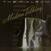 Disco de vinil Modern Talking - The 1st Album (Limited Edition) (Silver Marbled) (180g) (LP)