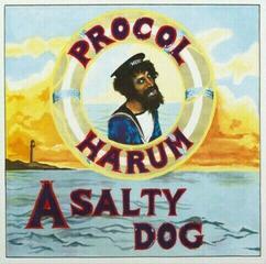 Disc de vinil Procol Harum - A Salty Dog (Remastered) (LP)