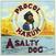 Disco de vinil Procol Harum - A Salty Dog (Remastered) (LP)