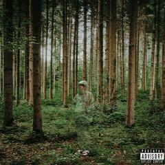 LP deska Grandson - I Love You, I'm Trying (LP)