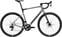 Cyklar för grus/cyklocross Ridley Grifn 12-Speed-Shimano GRX 800 2x12 Elephant Grey/Red S Shimano 2023