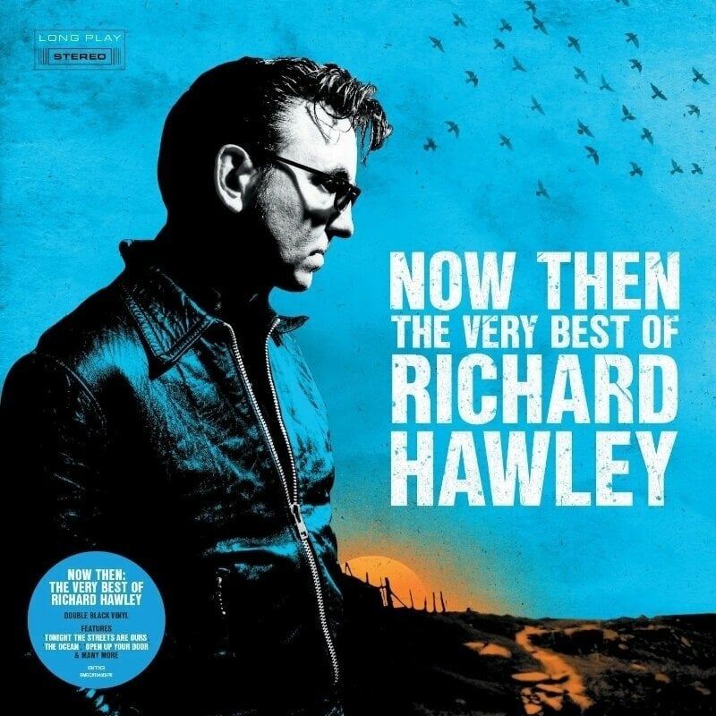 Schallplatte Richard Hawley - Now Then: The Very Best Of Richard Hawley (Black Vinyl Version) (2 LP)