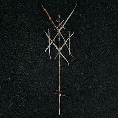 Hudobné CD Wiegedood - There’s Always Blood At The End Of The Road (CD)