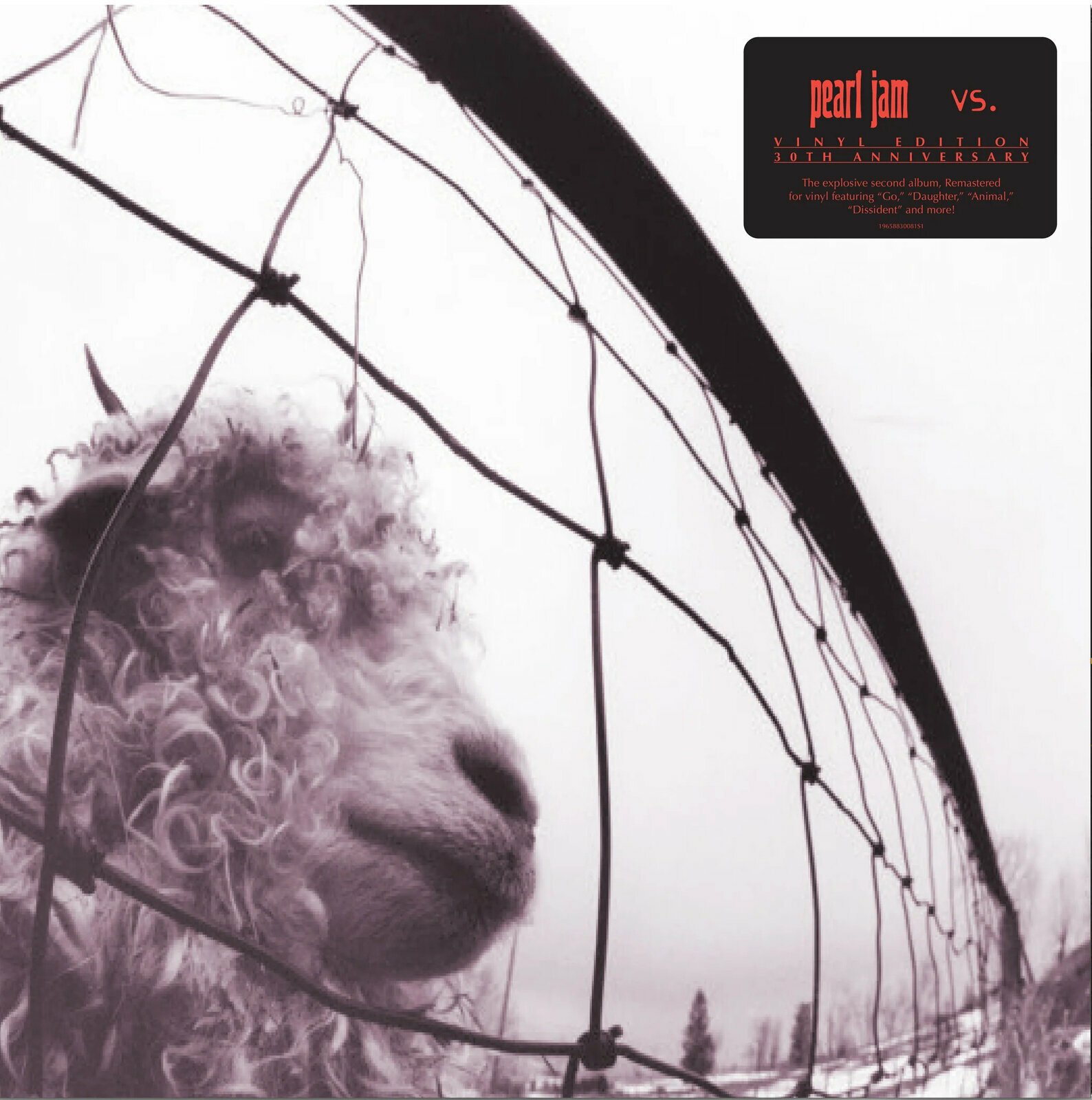 LP platňa Pearl Jam - VS. (30th Anniversary) (Remastered) (2 LP)