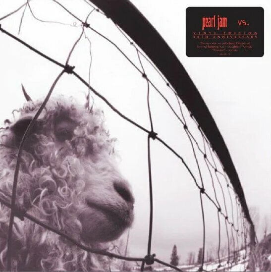 Schallplatte Pearl Jam - VS. (30th Anniversary) (Transparent Coloured) (LP)