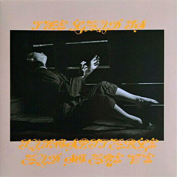 Schallplatte Mitski - The Land Is Inhospitable And So Are We (LP) - 1