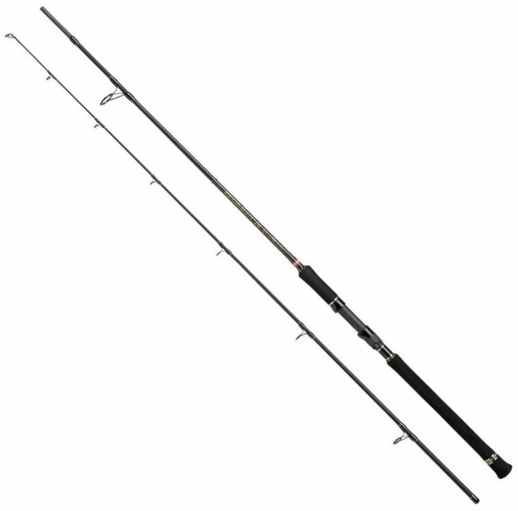 Fishing Rod Penn Regiment III Spin and Pilk 2,44 m 20 - 80 g 2 parts