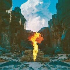 Vinylplate Bonobo Migration (180 g) (2 LP)
