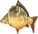 Other Fishing Tackle and Tool BeCare Pillow M 37 cm Mirror Carp