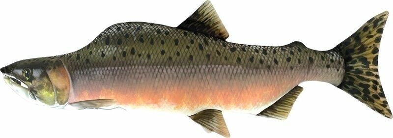 Ribiški pribor BeCare Pillow Salmon 62 cm