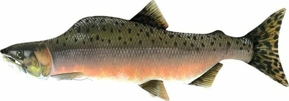 Muut kalastusvälineet ja työkalut BeCare Pillow Salmon 62 cm - 1