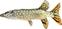 Other Fishing Tackle and Tool BeCare Pillow Pike 80 cm