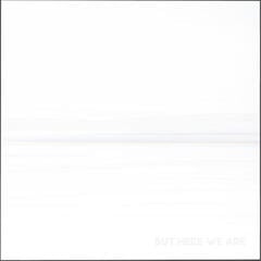 Vinyl Record Foo Fighters - But Here We Are (LP)