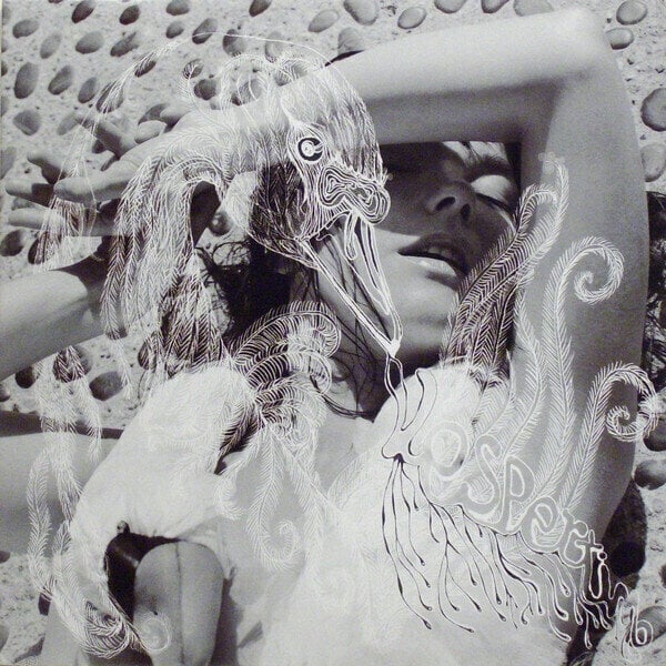 Disco in vinile Björk - Vespertine (180g) (2 LP)