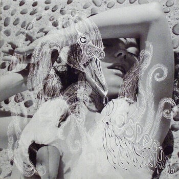 Vinyl Record Björk - Vespertine (180g) (2 LP) - 1