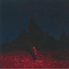 LP ploča Pheobe Bridgers - Punisher (LP)