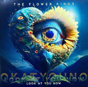 Vinyylilevy The Flower Kings - Look At You Now (2 LP) - 1