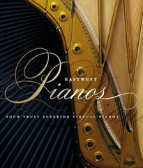 VST Instrument Studio Software EastWest Sounds STEINWAY D PLATINUM (Digital product)