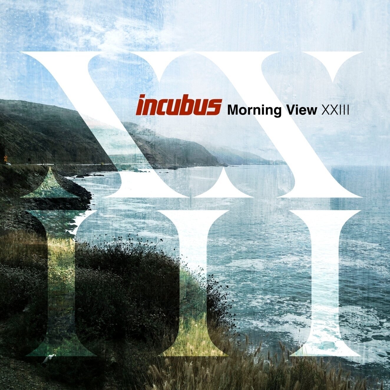 Vinyylilevy Incubus - Morning View XXIII (CD)