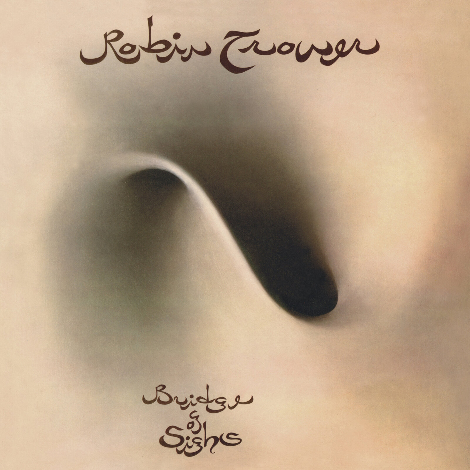 Vinyl Record Robin Trower - Bridge of Sighs (50th Anniversary Edition) (High Quality) (2 LP)