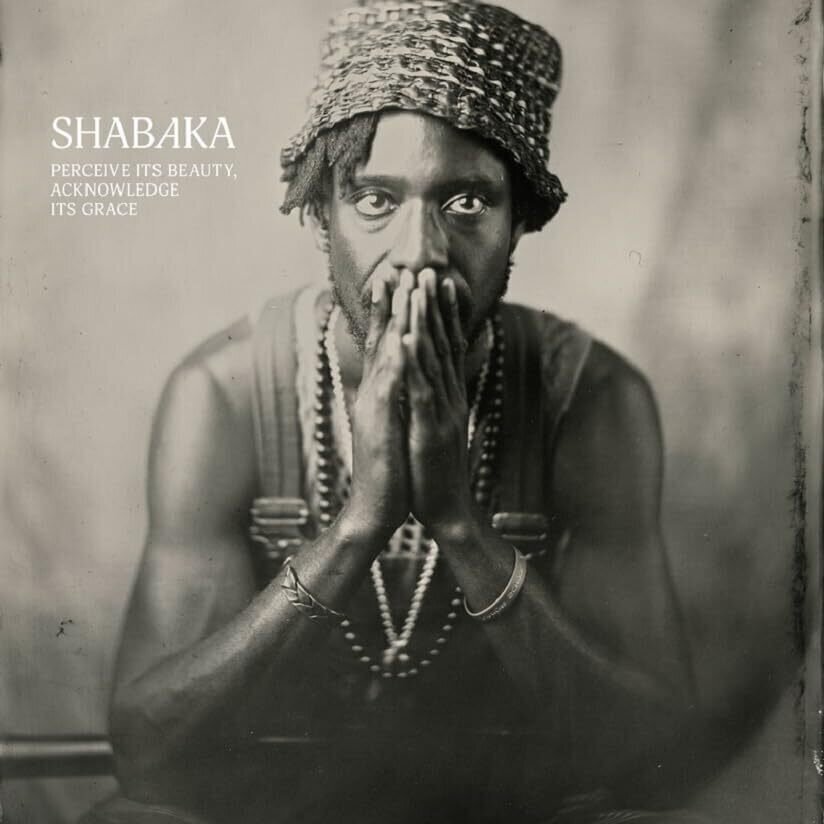 LP Shabaka - Perceive its Beauty, Acknowledge its Grace (LP)