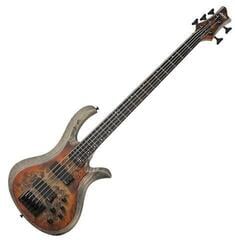 5-strunná baskytara Schecter Riot-5 Inferno Burst 5-strunná baskytara