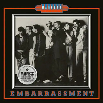 Vinyl Record Madness - Embarrassment (RSD 2024) (12" Vinyl) - 1