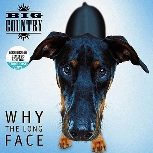 Vinyl Record Big Country - Why The Long Face (Blue Coloured) (RSD 2024) (LP)