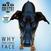 LP deska Big Country - Why The Long Face (Blue Coloured) (RSD 2024) (LP)