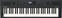 Keyboard met aanslaggevoeligheid Roland GO:KEYS 5 Graphite