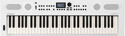 Roland GO:KEYS 5 Keyboard mit Touch Response White