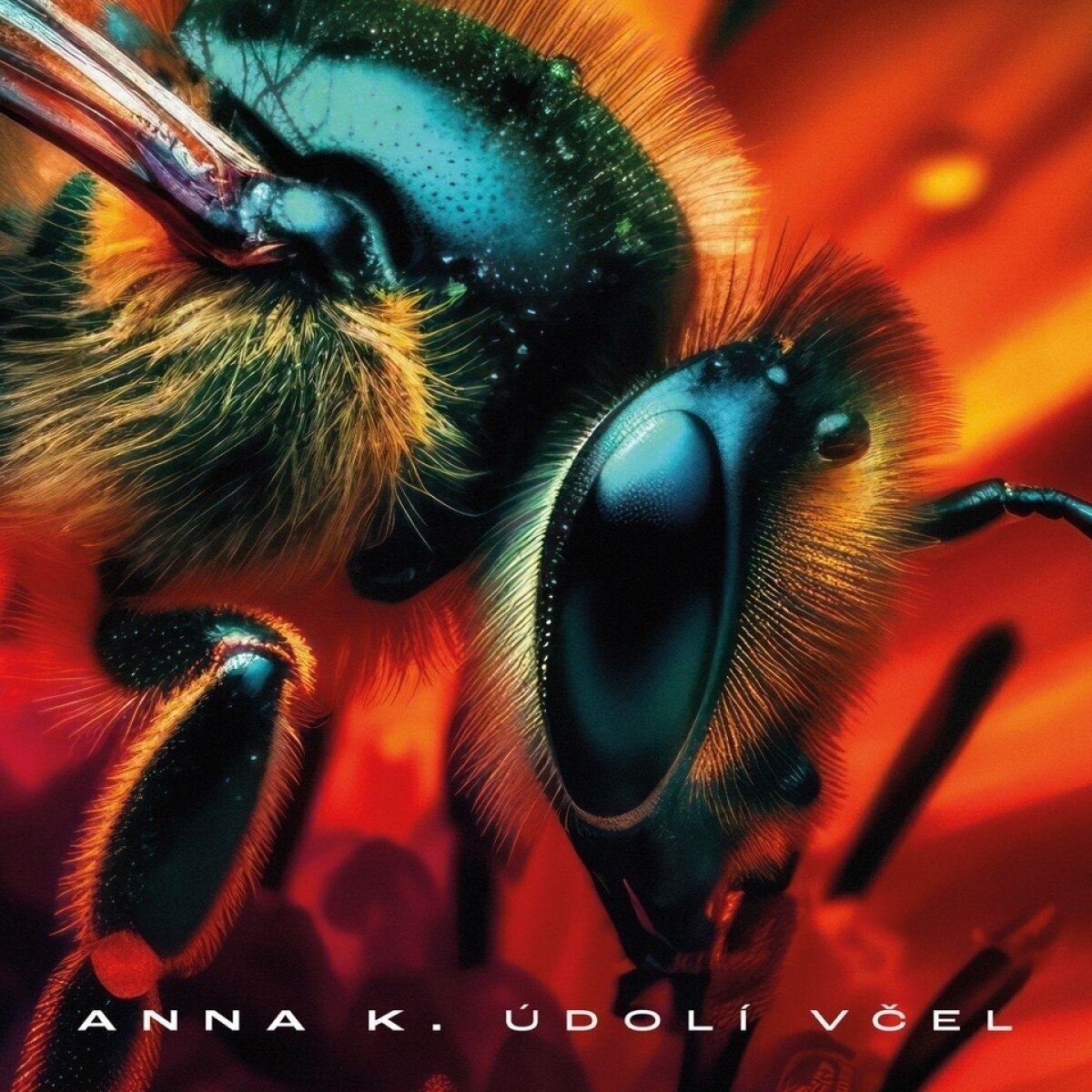 Schallplatte Anna K - Údolí včel (Limited Edition) (Blue Marbled Coloured) (LP)