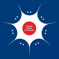 LP ploča David Koller - David Koller And Friends (LP)